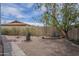 A tranquil backyard setting with mature trees, landscaping, and a privacy wall under a partly cloudy sky at 1637 W University Dr, Mesa, AZ 85201