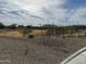 Playground is surrounded by a black metal fence and scattered landscaping with nearby homes in the background at 24066 W Cocopah St, Buckeye, AZ 85326