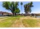 Spacious community lawn perfect for outdoor activities and enjoying the scenery at 2442 N 22Nd Ave, Phoenix, AZ 85009