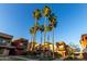 Low angle view of condo units surrounding a water fountain, palm trees and green lawn at 3500 N Hayden Rd # 710, Scottsdale, AZ 85251