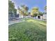 Grassy backyard featuring trampoline, storage sheds, and various trees, ideal for outdoor activities at 4838 W Christine Cir, Glendale, AZ 85308
