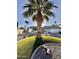 Charming home featuring a lush green landscaped yard with a beautiful palm tree at 4838 W Christine Cir, Glendale, AZ 85308