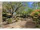 The front yard is filled with plants, gravel and mature trees with beautiful blue skies at 7101 W Beardsley Rd # 1502, Glendale, AZ 85308