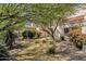 The front yard has beautiful plants, mature trees and a gravel ground cover at 7101 W Beardsley Rd # 1502, Glendale, AZ 85308