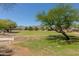 Expansive community green space with lush landscaping and mature trees at 725 W Beth Dr, Phoenix, AZ 85041