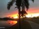 Sunset view of palm trees on a walking path along a lake, creating a serene and picturesque scene at 16551 W Winston Dr, Goodyear, AZ 85338