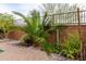 Desert landscape featuring mature trees and plants, gravel ground cover, and brick perimeter at 16551 W Winston Dr, Goodyear, AZ 85338