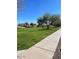 Well-manicured community park with lush green grass, mature shade trees, and a sidewalk at 17531 W Fetlock Trl, Surprise, AZ 85387