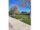 Picturesque community park featuring open green space, walking paths, and mature trees at 17531 W Fetlock Trl, Surprise, AZ 85387