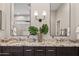 Elegant bathroom with double vanity, decorative mirrors and a plant at 41731 N Rolling Green Way, Anthem, AZ 85086
