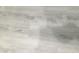 Close-up of light, wood-look flooring with subtle grain patterns at 4722 S 238Th Ln, Buckeye, AZ 85326