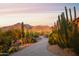 Scenic driveway leading to a beautiful home surrounded by lush desert landscaping and mountain views at 5921 E Leisure Ln, Carefree, AZ 85377