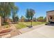Spacious backyard featuring a basketball hoop, trampoline, lush grass, and mature trees at 597 S 221St Dr, Buckeye, AZ 85326