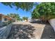 Expansive backyard features mature trees, potential for landscaping, and a charming desert aesthetic at 6940 W Willow Ave, Peoria, AZ 85381
