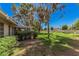 Expansive backyard features mature trees providing ample shade and an outdoor living space at 10913 W Caron Dr, Sun City, AZ 85351