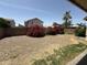 View of the backyard featuring red flowering bushes, a palm tree and a block fence at 14991 W Shaw Butte Dr, Surprise, AZ 85379