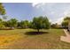 Lush backyard with mature trees, creating a serene and private outdoor retreat at 21228 E Excelsior Ave, Queen Creek, AZ 85142