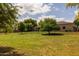 Expansive backyard featuring mature trees, lush green grass, and a covered patio area at 21228 E Excelsior Ave, Queen Creek, AZ 85142