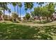 Lush common area featuring mature trees and manicured lawns within the townhome community at 3150 E Beardsley Rd # 1091, Phoenix, AZ 85050