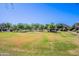 Expansive community park with lush green grass, mature trees, and neighborhood houses in the background at 42406 W Posada Dr, Maricopa, AZ 85138