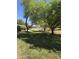 Community park lined with mature trees providing shade and recreational space for residents at 42406 W Posada Dr, Maricopa, AZ 85138