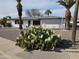 Single-story home with desert landscaping, featuring cacti and palm trees in the front yard at 5728 E Dodge St, Mesa, AZ 85205