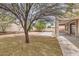 Expansive backyard features a mix of grass and gravel, with mature trees and privacy fencing at 8766 W Hayward Ave, Glendale, AZ 85305