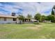 Expansive backyard with mature trees, covered patio, and well-maintained lawn at 10137 W Forrester Dr, Sun City, AZ 85351