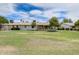 Spacious backyard with lush green lawn and covered patio at 10137 W Forrester Dr, Sun City, AZ 85351