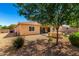 Backyard with an outdoor kitchen, desert landscaping, and gravel with mature landscaping at 16860 W Soft Wind Dr, Surprise, AZ 85387
