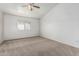 Spacious bedroom featuring neutral carpet, ceiling fan, and a bright window at 2723 N Winthrop --, Mesa, AZ 85213