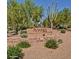 Aviano community sign surrounded by desert landscaping and mature trees at 3935 E Rough Rider Rd # 1360, Phoenix, AZ 85050