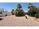 Spacious backyard with low-maintenance desert landscaping and mature trees, ideal for outdoor entertaining at 735 E Desert Ave, Apache Junction, AZ 85119
