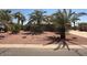 Single-story home featuring xeriscape landscaping, mature palms and a long driveway at 735 E Desert Ave, Apache Junction, AZ 85119
