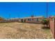 A large backyard with partial grass, a block wall and lush flower bush, great for outdoor activities at 7359 N 39Th Ave, Phoenix, AZ 85051