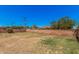 A spacious backyard featuring a block fence for privacy and a mix of landscaping at 7359 N 39Th Ave, Phoenix, AZ 85051