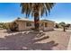 Side view of a desert home with neutral stucco, decorative rock landscaping and mature palm tree at 871 Leisure World --, Mesa, AZ 85206