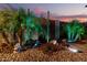 Beautiful backyard with lush palms, desert flora, artistic accents, and subtle landscape lighting at 31453 N Blackfoot Dr, San Tan Valley, AZ 85143
