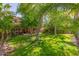 Expansive backyard featuring mature trees and lush green grass, perfect for outdoor activities and relaxation at 3274 E Denim Trl, San Tan Valley, AZ 85143