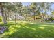 Expansive community green space with mature trees casting dappled shade, creating a serene and picturesque setting at 3406 E Pyrenees Pass, Phoenix, AZ 85018