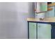 The bathroom features a vanity and blue and green paint at 4065 E University Dr # 228, Mesa, AZ 85205