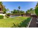 Spacious backyard featuring lush green grass, a refreshing pool with surrounding fence, and mature landscaping at 709 E Hayward Ave, Phoenix, AZ 85020