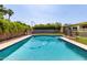 Sparkling blue pool enclosed by a safety fence in a private backyard setting with lush landscaping for added privacy at 709 E Hayward Ave, Phoenix, AZ 85020