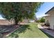 Lush backyard featuring a mature tree, green grass, and a stone pathway, perfect for outdoor living and relaxation at 7210 W Caron Dr, Peoria, AZ 85345