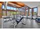 Spacious community gym with floor-to-ceiling windows, natural light, and plenty of exercise equipment at 826 E Buist Ave, Phoenix, AZ 85042