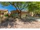 Charming single-story home with desert landscaping, complemented by mature trees and a two-car garage at 15460 W Mescal W St, Surprise, AZ 85379