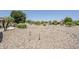 Desert landscaping in backyard with many rocks and small plants, plus several mature trees at 15960 W Indigo Ln, Surprise, AZ 85374