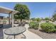 View of patio area and desert landscaping with large, mature trees, adjacent to the house at 15960 W Indigo Ln, Surprise, AZ 85374