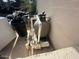 Pool equipment against the exterior wall at 1841 S Spruce --, Mesa, AZ 85210