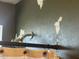 Bathroom with peeling paint on shower wall at 1841 S Spruce --, Mesa, AZ 85210